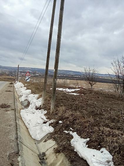 Vind teren intravilan +extravilan  - 2