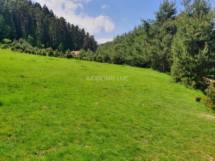 TEREN DE VANZARE INTRAVILAN - 2