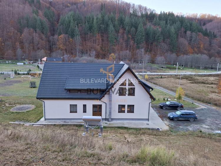 Proprietate cu potențial turistic în zona montană a Țării Lăpușului - 36