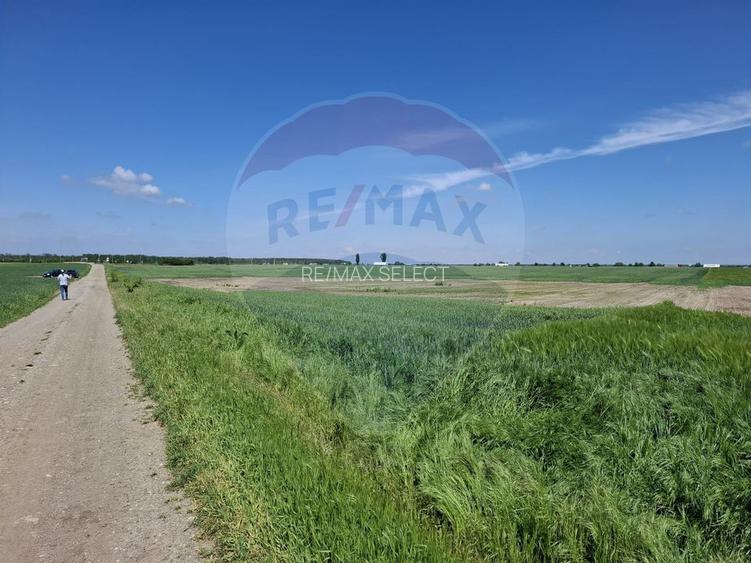 Vanzare teren intravilan parcelat, in Branesti langa - Autostrada A2 - 23