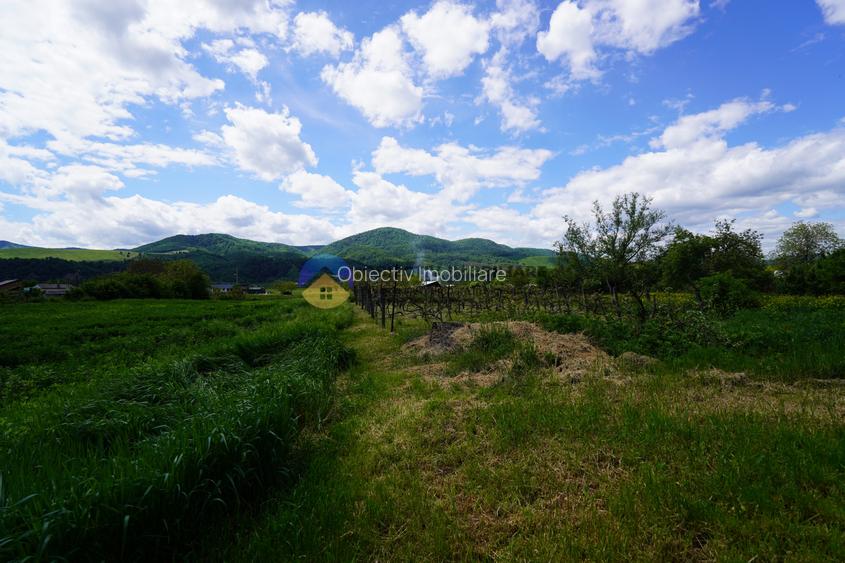 Teren 9000 mp intravilan Piatra Neamt , ideal investitie - 12