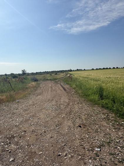 Teren 10 hectare pretabil pt panouri solare-Aricesti Rahtivani
