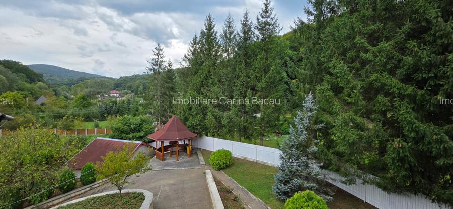 Vila Superba pe Slatina-Luncani - 3