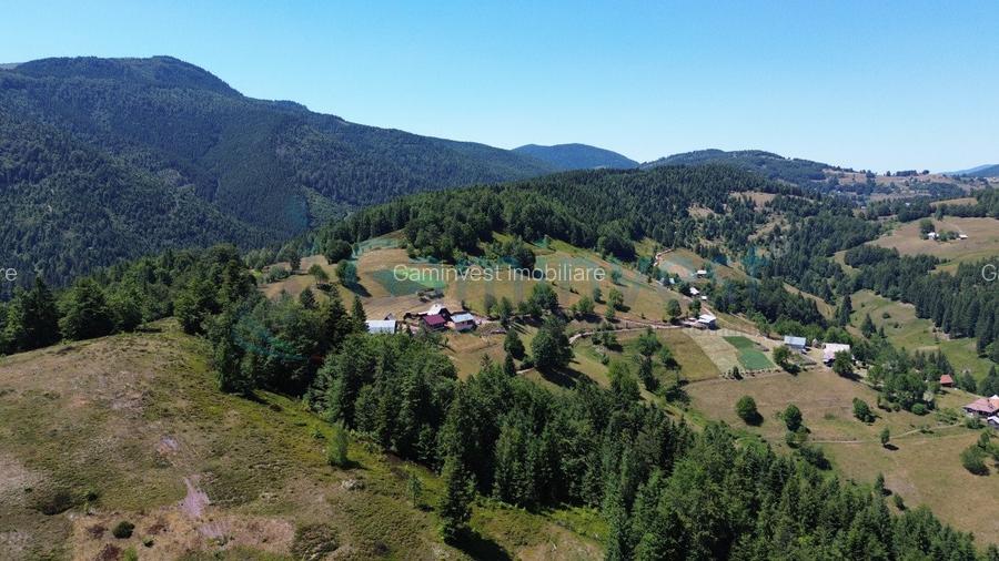 Teren pentru investitie turism, cu izvor si acces la utilitati, zona Arieseni - 7