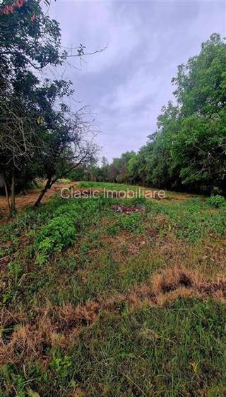 Vanzare casa individuala 4 camere in Aghiresu cu teren de 1355 mp, jud Cluj - 2