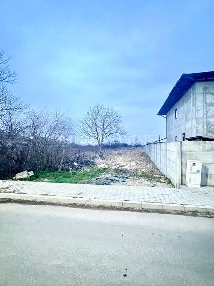 Teren Intravilan Zurbaua Dragomiresti 500mp - 3