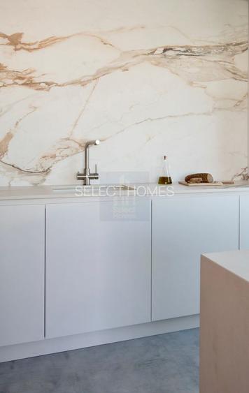 Penthouse unic de vanzare *Dacia- Eminescu* - 30