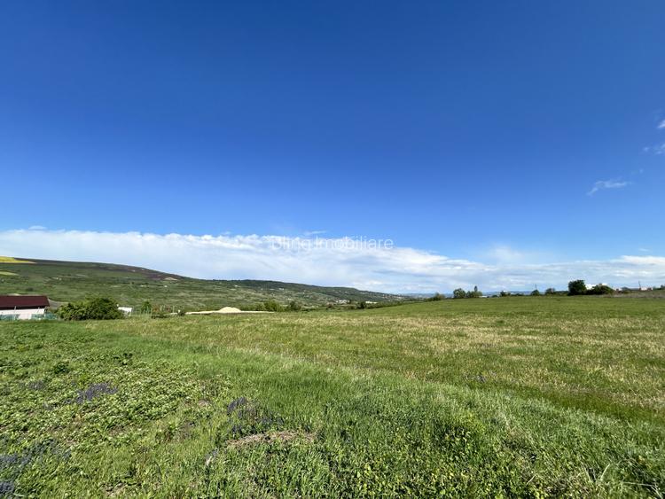 Teren de vanzare Valea Chintaului 1300mp front 24ml - 3