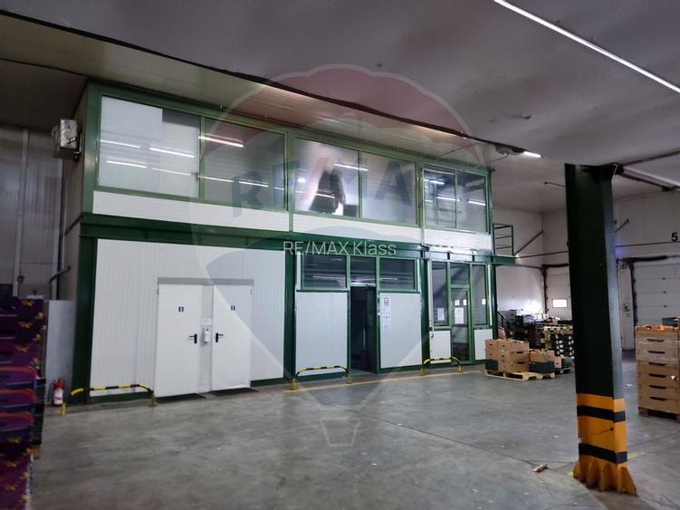 Depozit frigorific  hala ideal legume, fructe, flori - 7