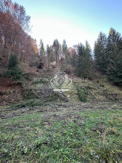 Teren 2.882 mp – oportunitate investitie - Cheile Dâmbovicioarei - 4