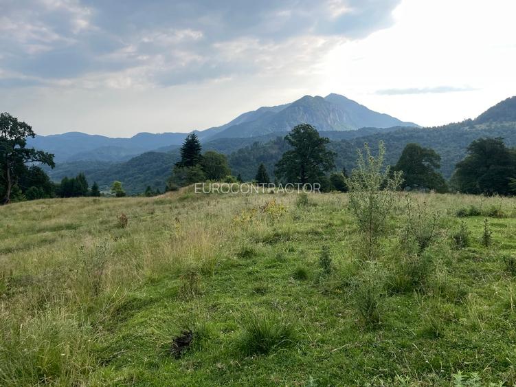 Teren intravilan dezvoltare turistica Hoteluri/Pensiuni S+P+2E+M - 17