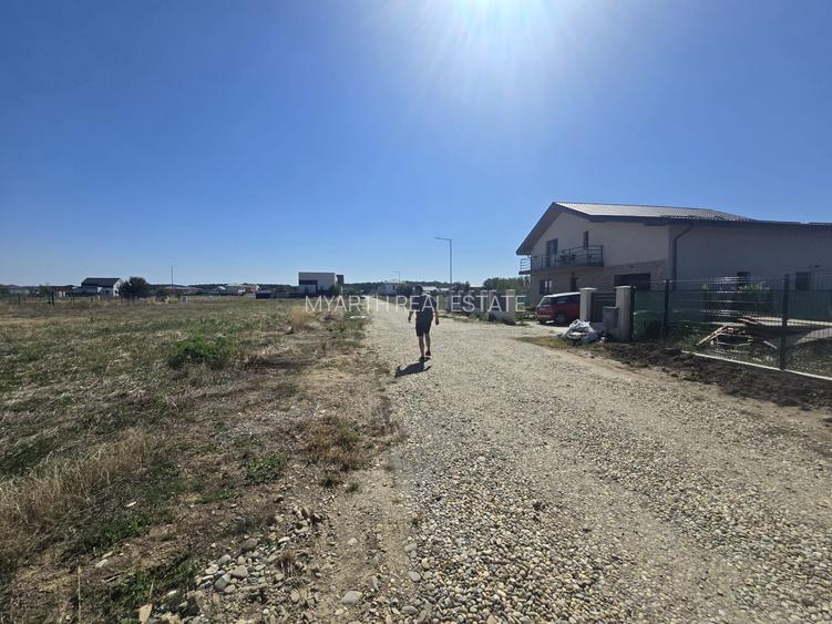 Gulia, Tartasesti, Eden Forest Residence,Samurcasi - 9