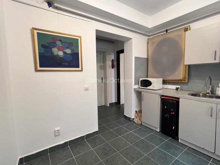 Vânzare garsonieră 40 mp, de la proprietar, Floreasca, București - 10