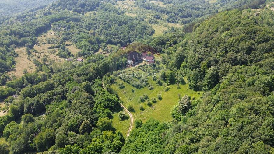 CASTEL DE VANZARE IN MARAMURES - 9