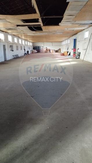 Spațiu industrial/hala de  vanzare - Piatra Neamt - 7