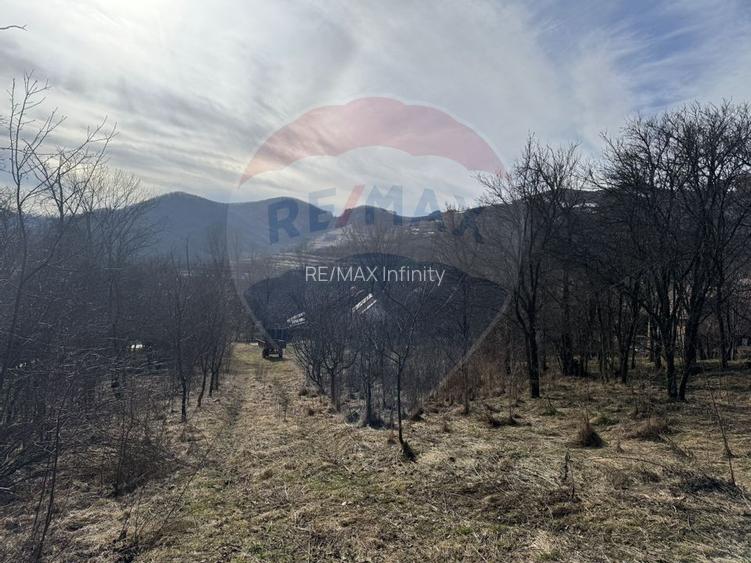 Teren intravilan 1.271 mp – Izvoarele, jud. Alba - 14