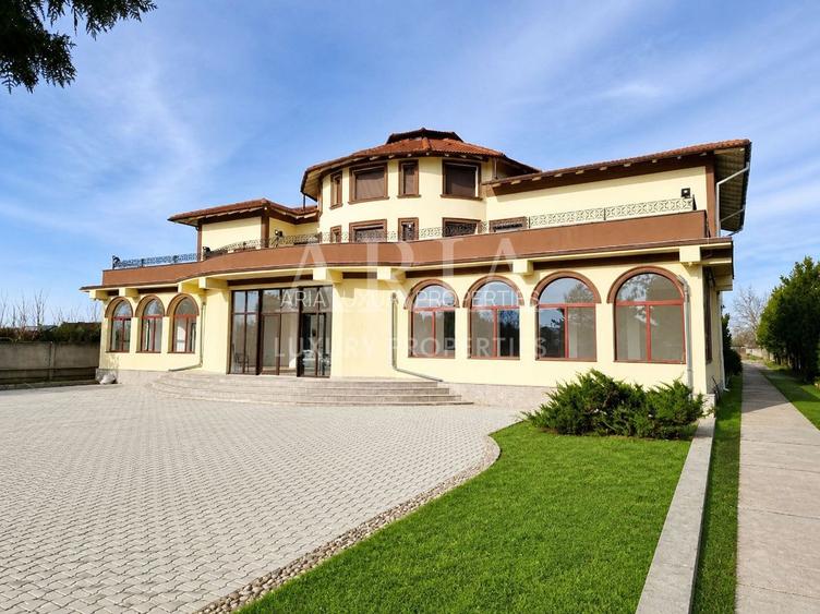 VANZARE VILA | HALA IN VLADICEASCA | SNAGOV | 10.500 MP TEREN - 7