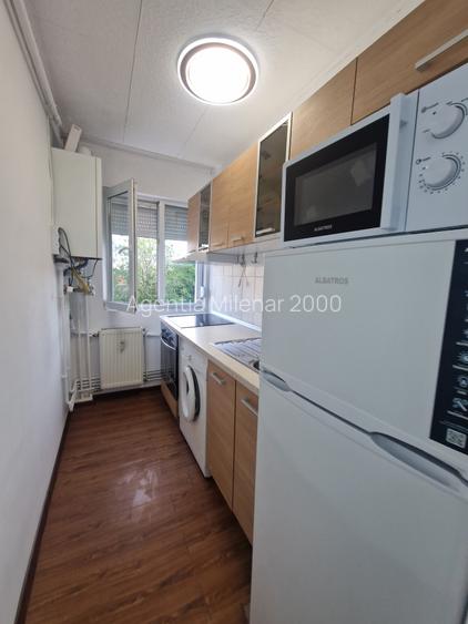 Apartament cochet zona Take Ionescu-cu centrala gaz - 20