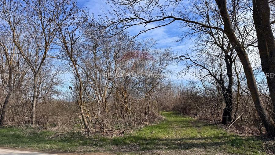 Teren intravilan, de vanzare, Olimp, Novum by the Sea - 4