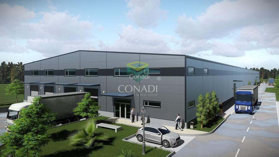 Teren de vanzare cu autorizatie pentru 2 hale - Otopeni - 10.000 mp - 4