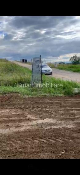 Teren Intravilan 550 mp Bod/Sanpetru - 4