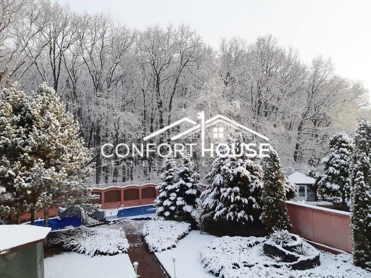 VILA D+P+E+M, 12 camere, piscina , padure, IANCU NICOLAE - 42