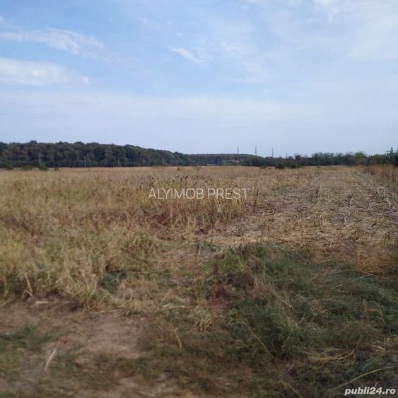 VANZARE TEREN COM BALOTESTI, SAT SAFTICA - 3