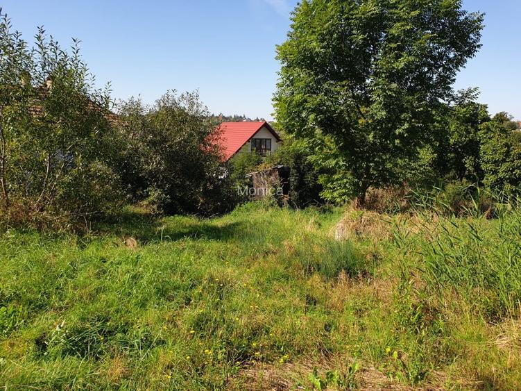 Teren cu autorizatie de construire - 6