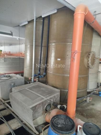 Pensiune + fermă piscicolă (sturion/caviar) | Saru Dornei/Sarisor - 29