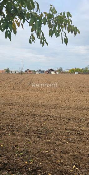 Teren intravilan 6700mp - 3