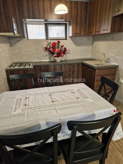 Vilă  tip dulpex in localitatea Ceahlău - 10