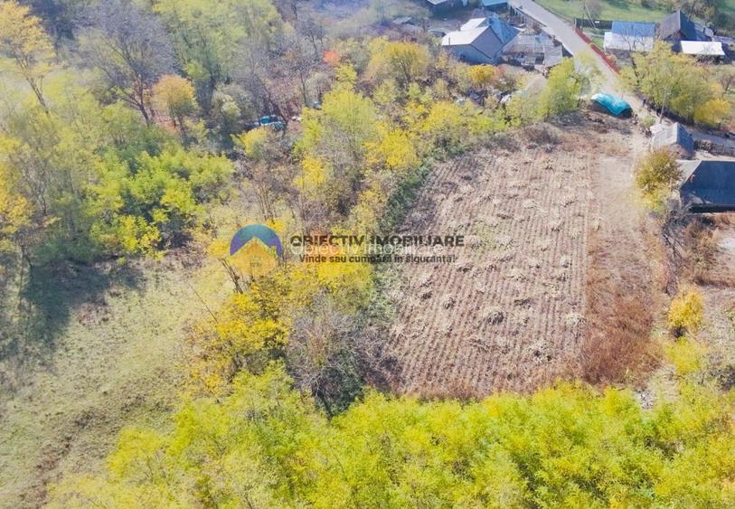 Teren de vânzare 11.766 mp – Costișa, județul Neamț - 2