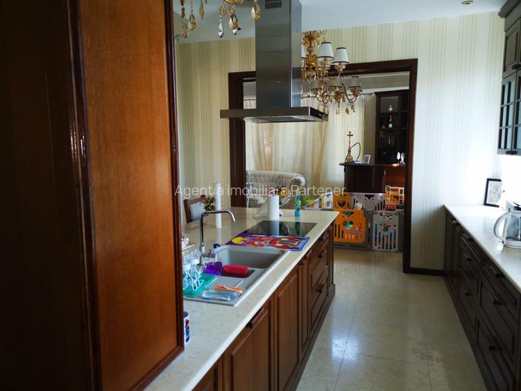 Vila Trivale - Montanstar, teren 1.750mp, piscina, mobilata - 31