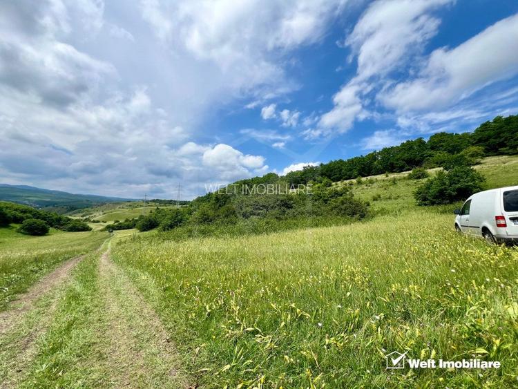 Oportunitate investitie, teren cu panorama pentru cabane - 4