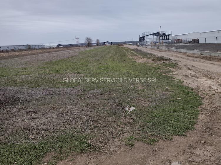 FARA COMISIOANE LOTURI TEREN CONSTRUCTII HALE in ZONA DE HALE merita vazut - 9