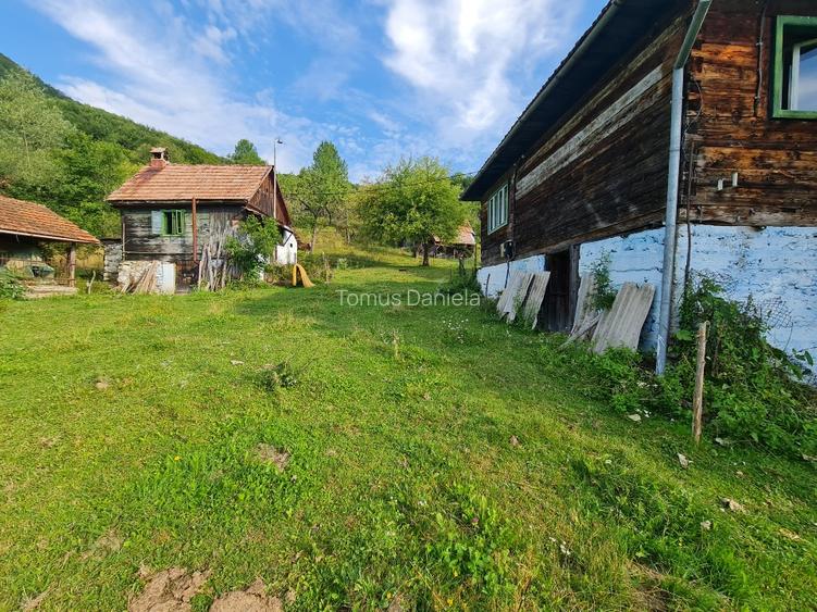 Teren de vânzare cu casă în Apuseni - 11