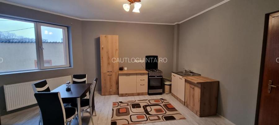 Vila grandioasa | 11 camere | P+1E+M | garaj | Brancoveanu |  - 17