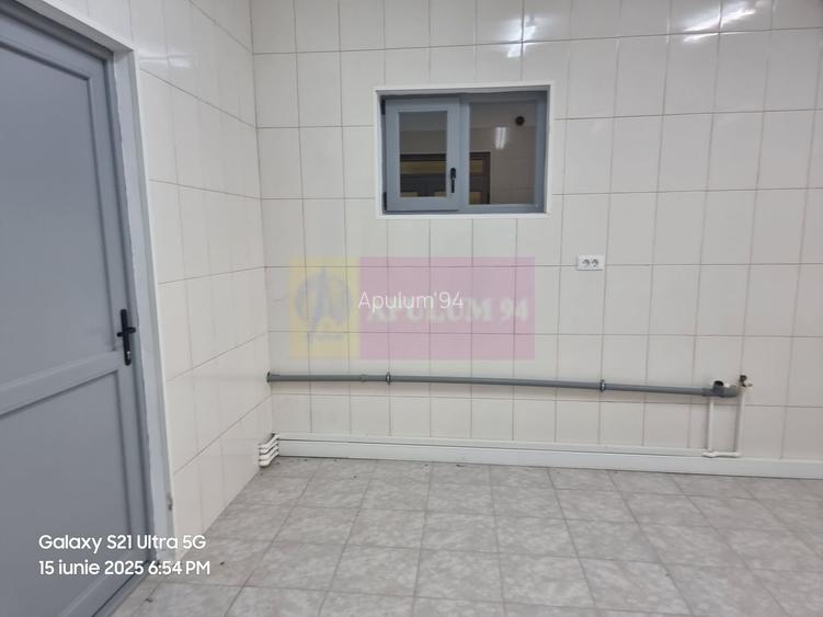 VANZARE CASA OASPETI + ANEXE IN  SAT TEISORI (JUD. GIURGIU) - 57