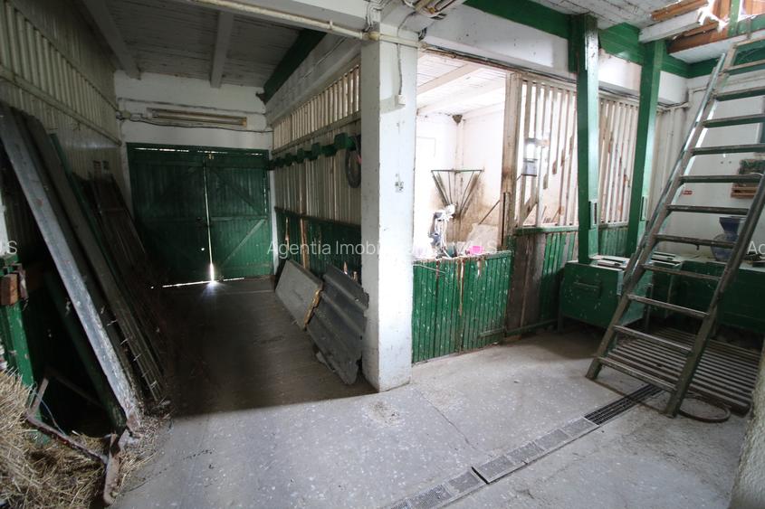 Vand ferma agricola jud. Galati -150.000 euro - 7