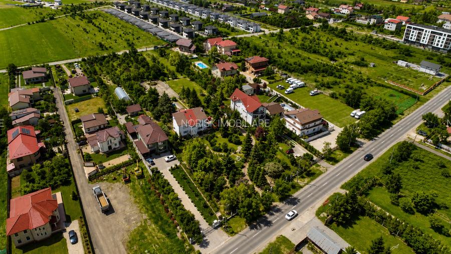 Oportunitate Rară în Ciorogârla– 8.000 mp Teren | Dublu Acces Asfaltat - 3