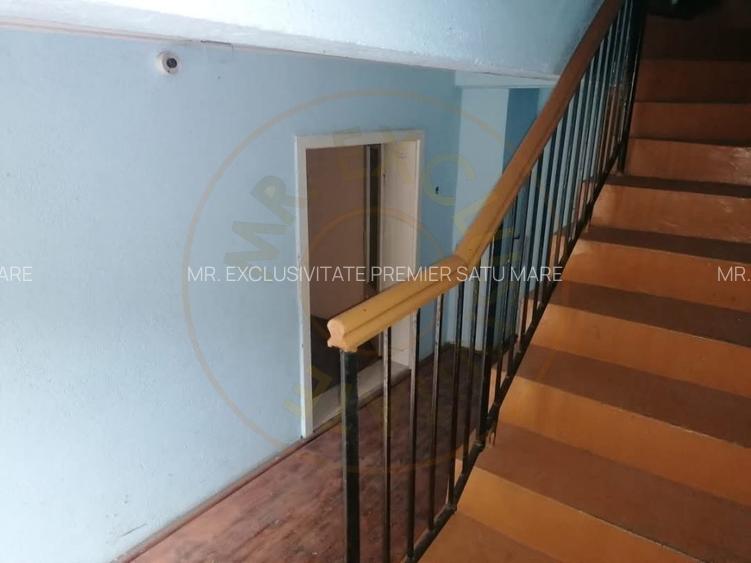 De Vanzare Casa/Oportunitate Comerciala - 4