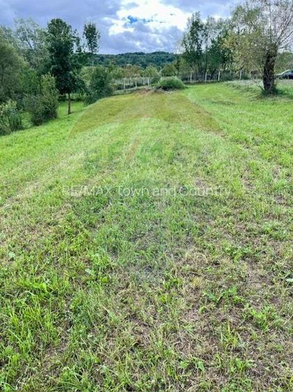 Teren 1,884mp Berbesti / Drumul secundar - 5