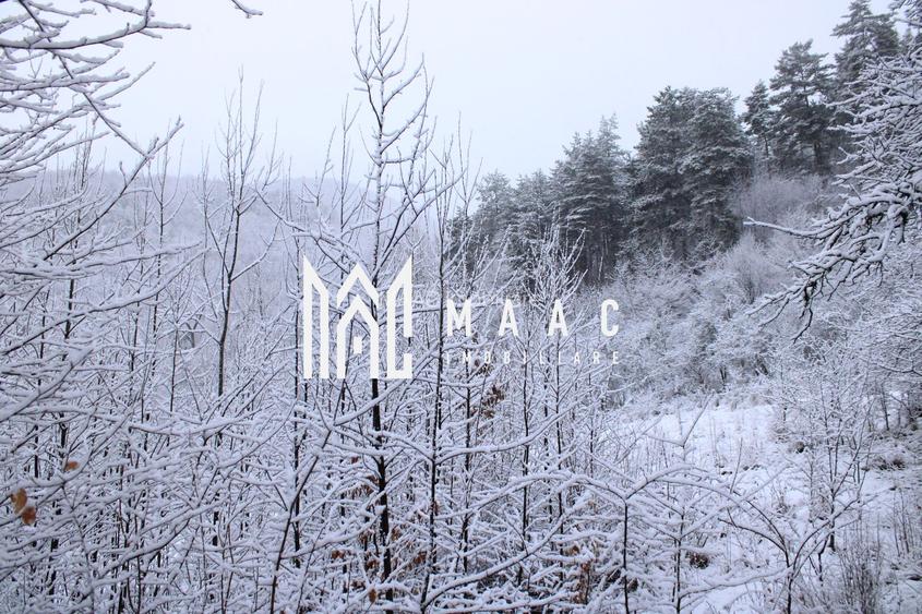 Teren cu izvor de apă minerală  Dangești, Punctul Valea Mare - 31