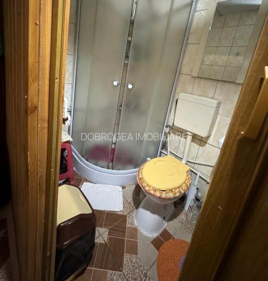 ZONA ALEXANDRU CEL BUN  -  CASA 4 CAMERE ,TEREN 216 MP - 9