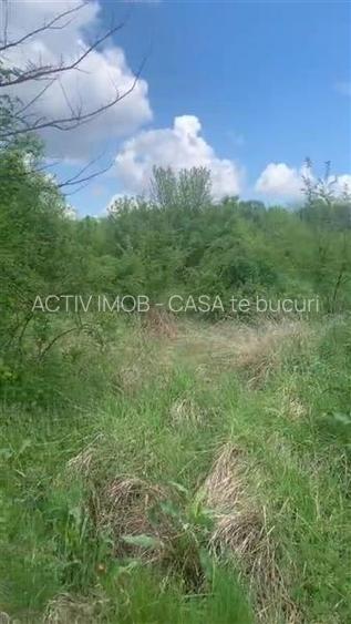 Teren intravilan 500 mp - Ganeasa - 2