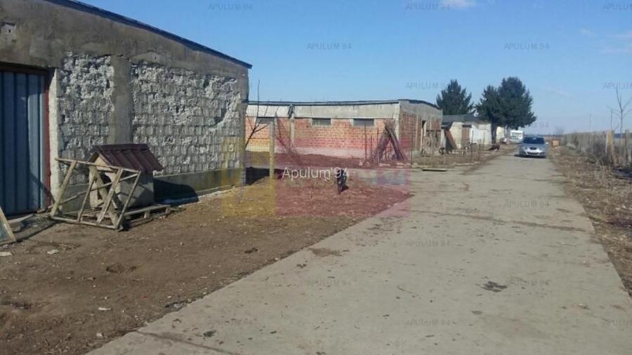 Teren Balotesti- Saftica - 4