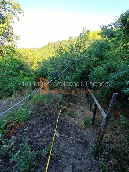 EXCLUSIVITATE! Casa+teren si cabana de lemn zona Naeni - 27