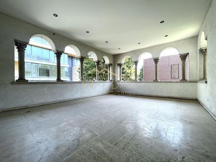 4 rooms ***203 SQM useful*** / 38 SQM terrace + garage / Primaverii - 15