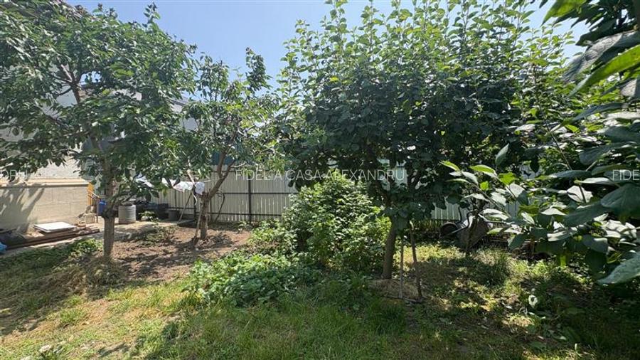 Vila  de vanzare  Copou, - 5