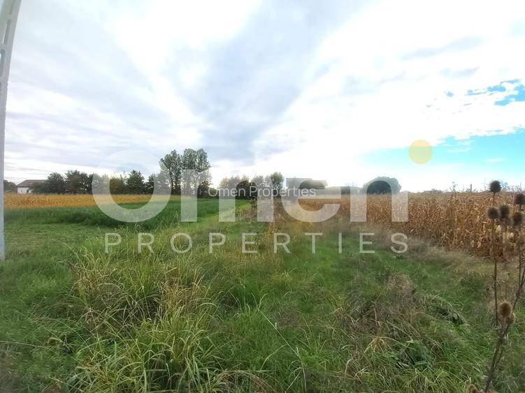 Teren intravilan de 10 arii de vânzare în Cătălina – zonă în plină dezvoltare - 2